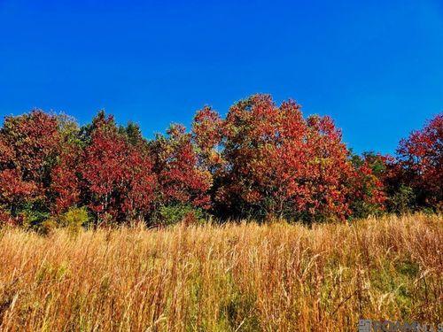 00 J L Robbins Rd, Carson, MS, 39427 | Card Image