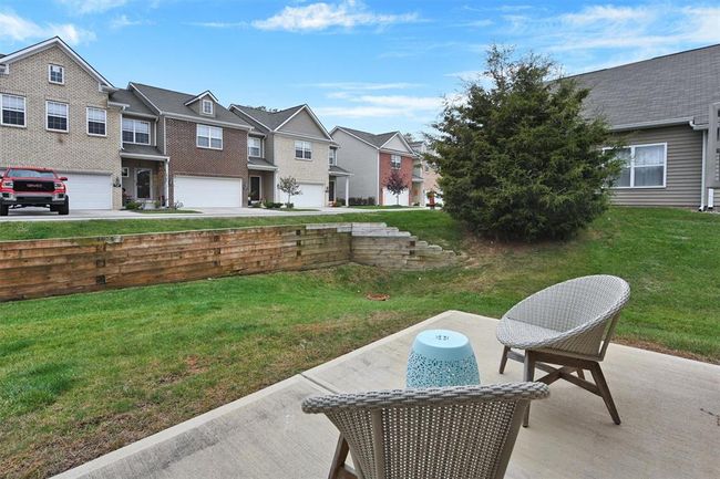 A LITTLE MORE YARD FOR THE FURRY FRIENDS. | Image 33