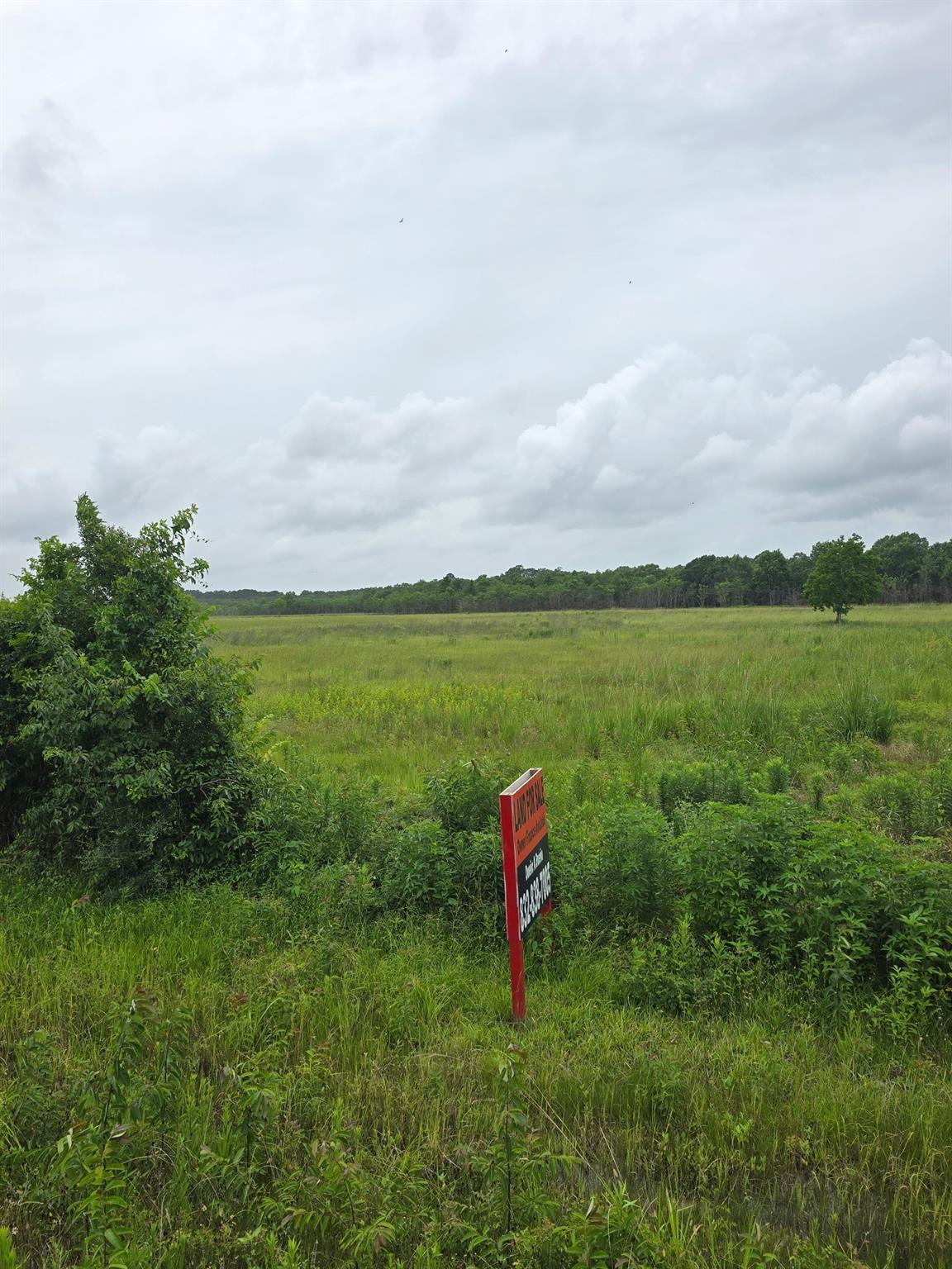 Land in Liberty
