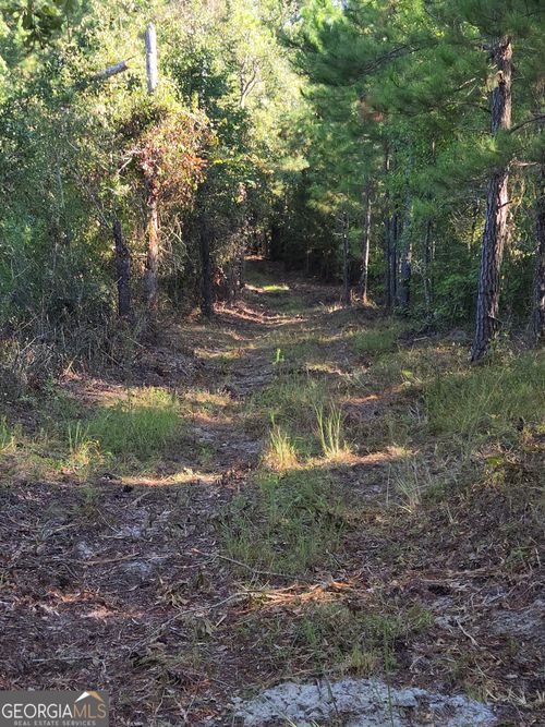 0 Alton Lawson Rd, Adrian, GA, 31002 | Card Image