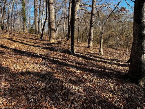 0000 Virgilina Cir, Cana, VA, 24317 | Card Image