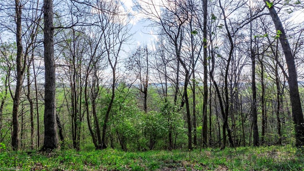 Land in North Wilkesboro