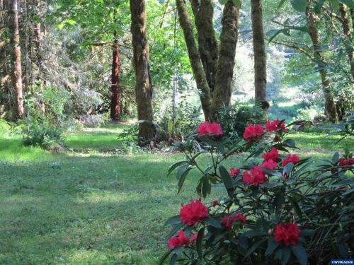 26809 Cecil Ln, Alsea, OR, 97324-9619 | Card Image