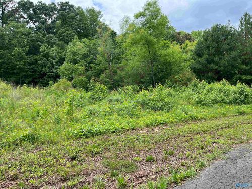 lot #14 Country Cove Rd, Crossville, AL, 35962-3482 | Card Image