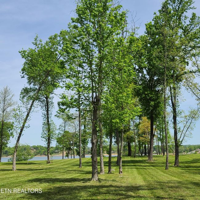 36 Water View Ln, Home with 0 bedrooms, 0 bathrooms and null parking in Dandridge TN | Image 6
