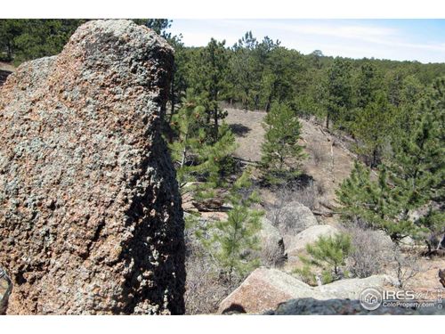 280 Timber Trl, Livermore, CO, 80536 | Card Image