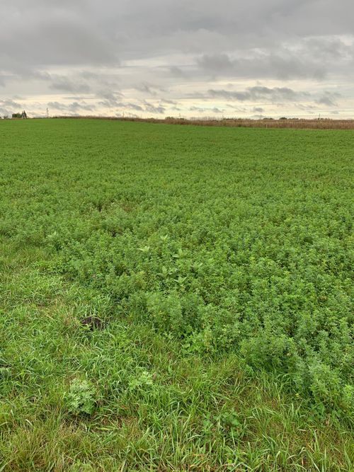 10630 Marty View Cir, Kimball, MN, 55353-2789 | Card Image