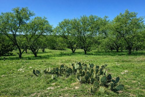TBD View Circle, Lampasas, TX, 76550 | Card Image