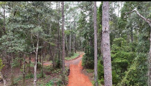 12234 Bay St, Fairhope, AL, 36532 | Card Image