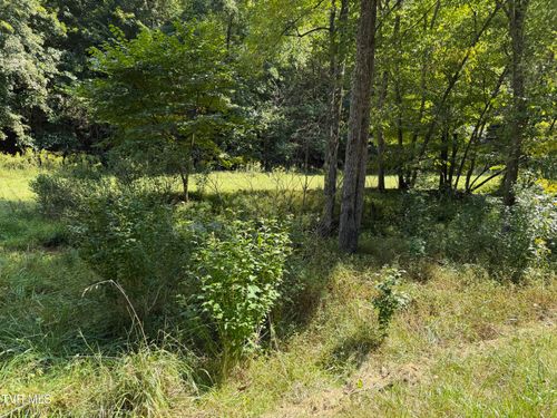 Lot 4 Greggs Branch Rd., Butler, TN, 37640 | Card Image
