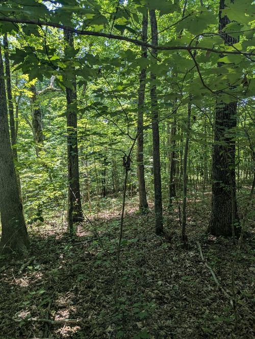 lot 23 Street Place Loop, Monterey, TN, 38574 | Card Image