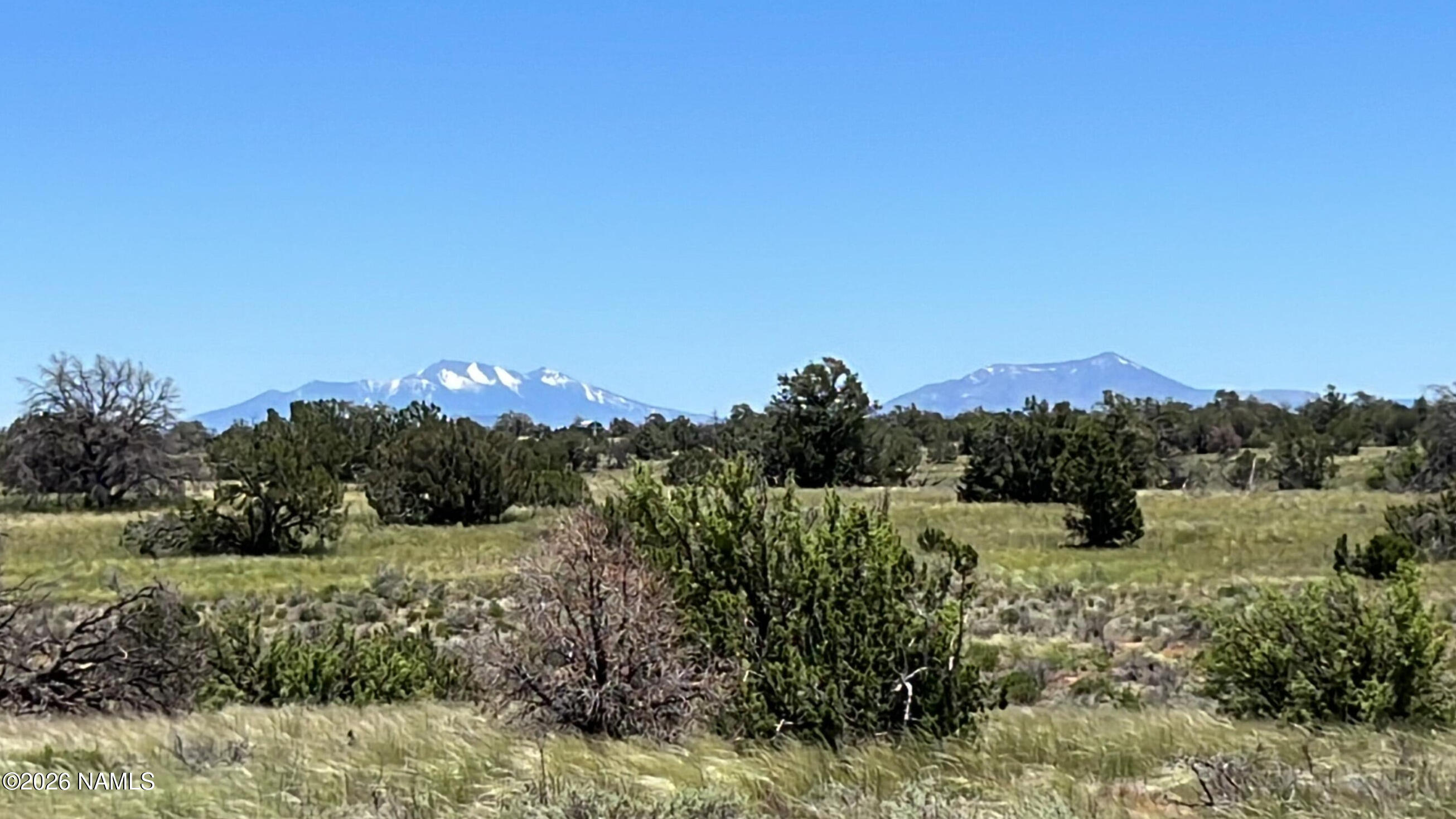 Land in Williams