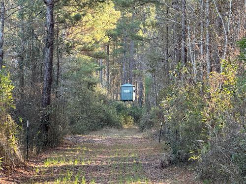 0 Highway 17a, Jamestown, SC, 29453 | Card Image