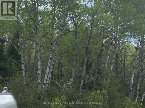 LOT 33 Rutherglen Line, Bonfield, ON, P0H | Card Image