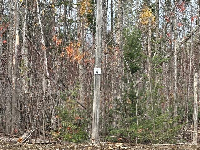 Land in Greenville 5