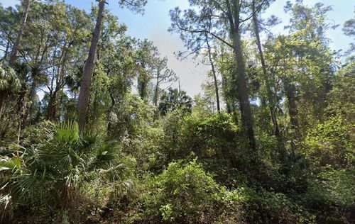 303 Siesta Dr, Georgetown, FL, 32139 | Card Image