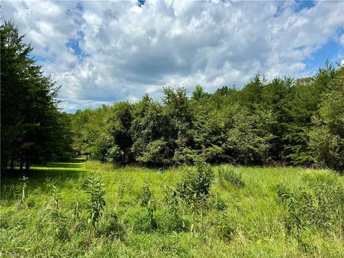 0 Renee Ln, Westfield, NC, 27053 | Card Image