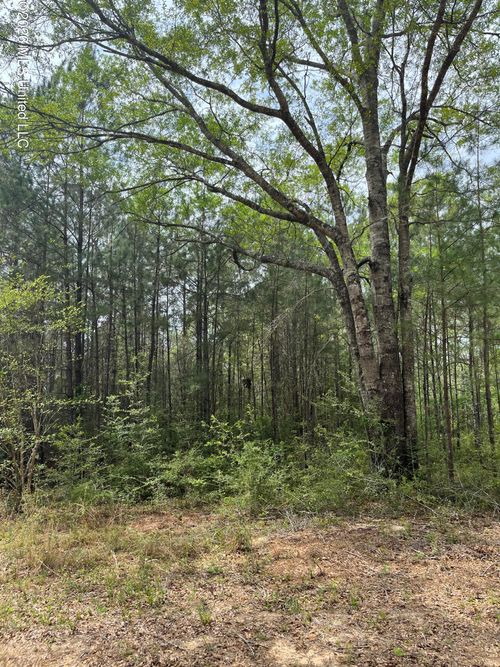 21 Range Line Rd, Perkinston, MS, 39573-5064 | Card Image