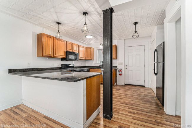 APT-2 - 8820 Joseph Campau St, Condo with 2 bedrooms, 2 bathrooms and null parking in Hamtramck MI | Image 6