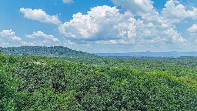 220 Terrace Way, House other with 5 bedrooms, 5 bathrooms and null parking in Jasper GA | Image 49
