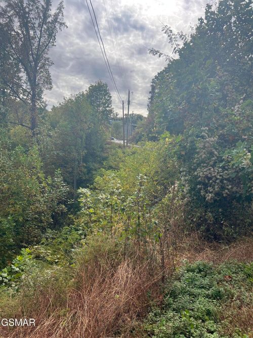 507 Pinecrest Dr, Gatlinburg, TN, 37738 | Card Image