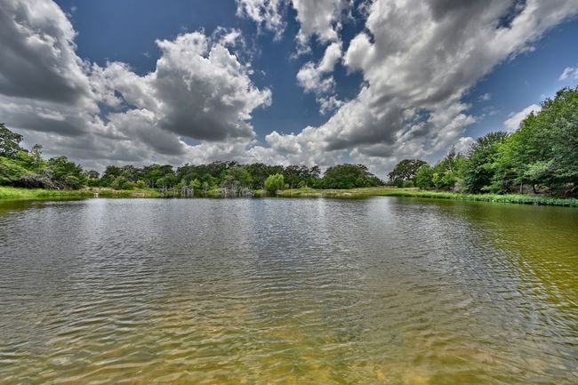 Water view with a forest | Image 13