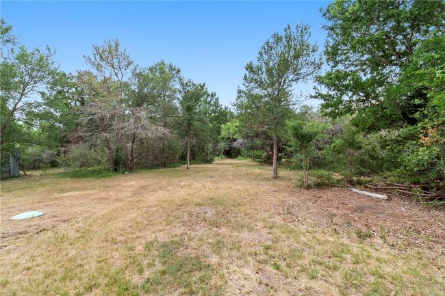 View of yard with a wooded view | Image 12