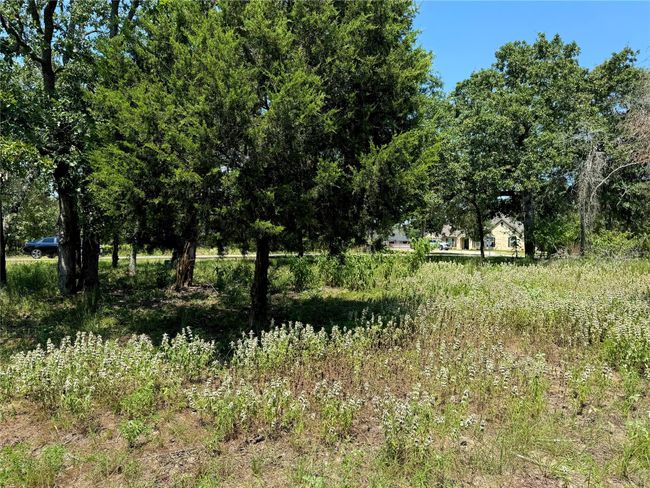 174 Charlya Dr, Home with 0 bedrooms, 0 bathrooms and null parking in Athens TX | Image 8