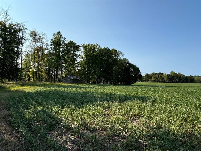 50 Hopewell Church Rd, Home with 3 bedrooms, 2 bathrooms and null parking in Fordsville KY | Image 17