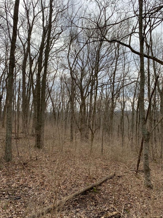 6049 Big Run Rd, Home with 0 bedrooms, 0 bathrooms and null parking in Georgetown OH | Image 43