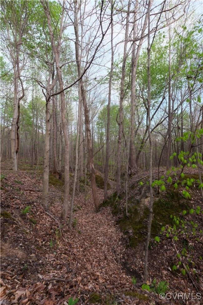 View of landscape | Image 10