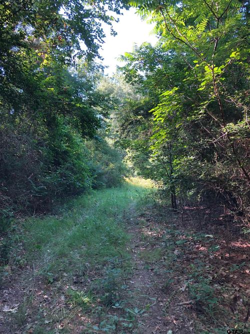 TBD County Road 1201, Rusk, TX, 75785 | Card Image