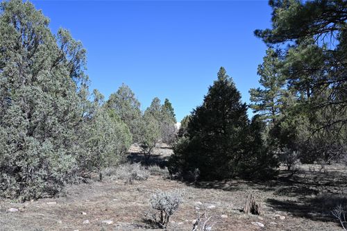 00 Nm Sr 64, Tierra Amarilla, NM, 87575 | Card Image