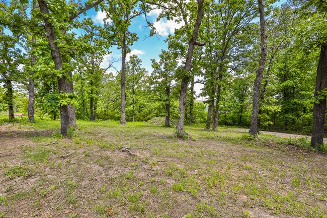Over 1 Acre | Image 31