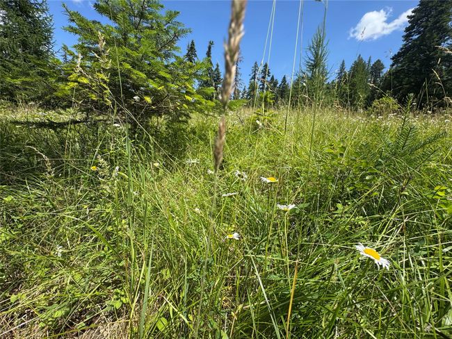 13643 Sundance Trail, Bigfork, MT 59911 | Image 12