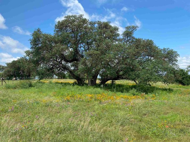 136 Valley View Cir, House other with 4 bedrooms, 3 bathrooms and null parking in Llano TX | Image 24