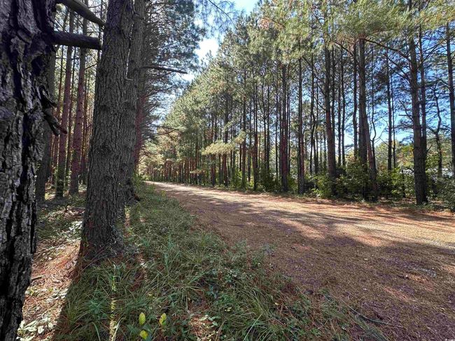 5 High Hill Rd., Home with 0 bedrooms, 0 bathrooms and null parking in Scranton SC | Image 25