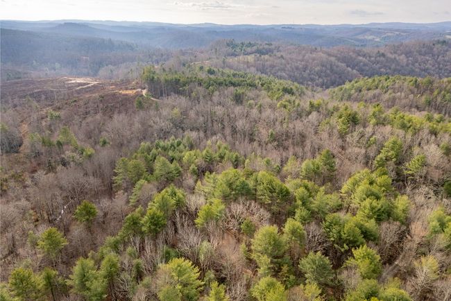 000 Miriam Road, Home with 0 bedrooms, 0 bathrooms and null parking in Dugspur VA | Image 27