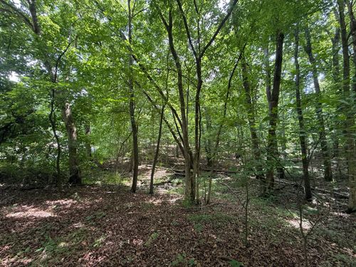 lot-70b-keniana-lake-s-000 Waterway Trl, New Concord, KY, 42076 | Card Image