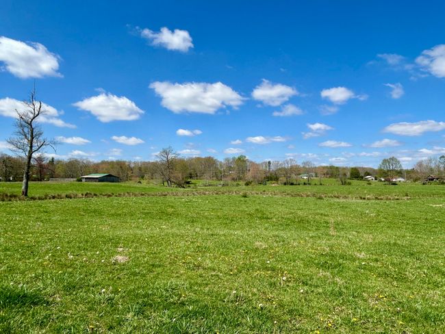 428 Dick Wilson Rd, Home with 0 bedrooms, 0 bathrooms and null parking in Strunk KY | Image 18