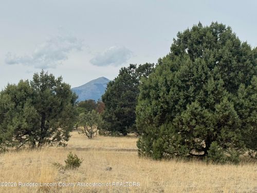 Lot 35B Gary Player Ct, Alto, NM, 88312 | Card Image