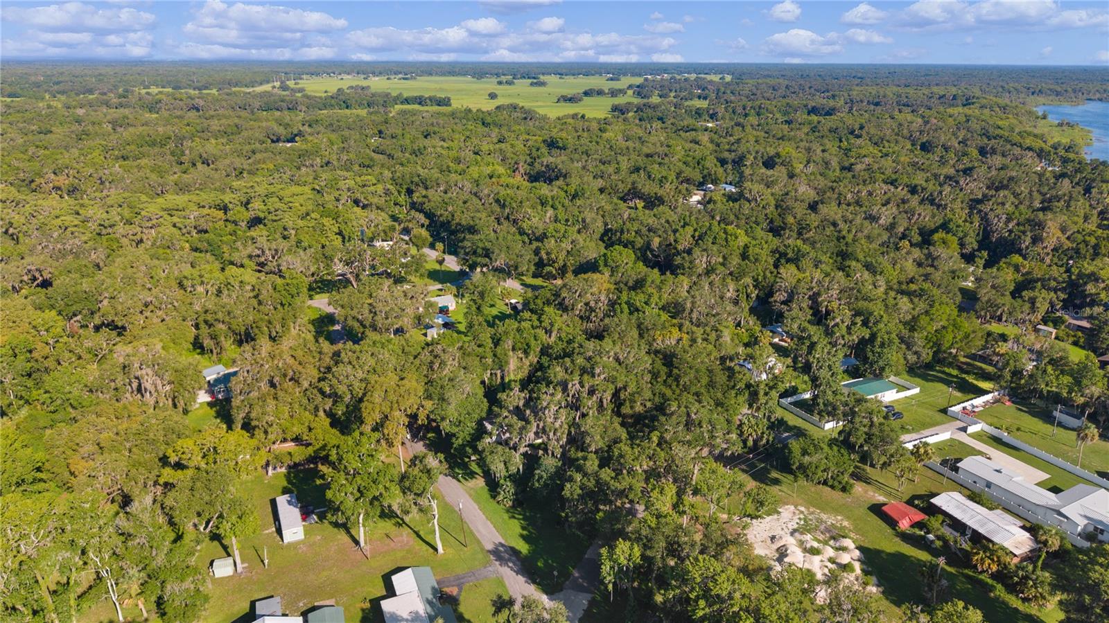 Residential in LAKE PANASOFFKEE 5