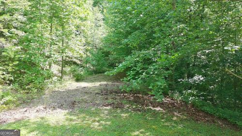 31 & 32 Wolfpen Gap Road, Hiawassee, GA, 30546 | Card Image