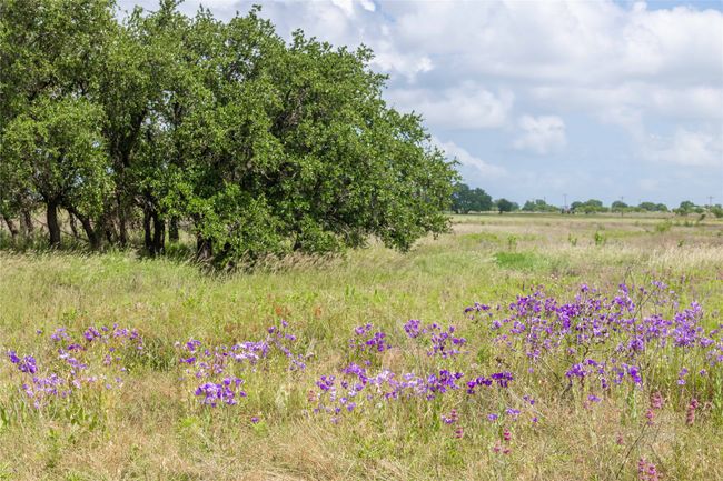 View of local wilderness featuring rural landscape | Image 29