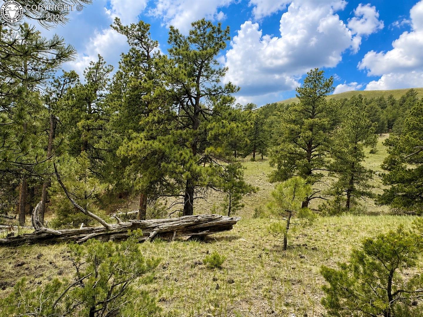 Land in Gardner 4
