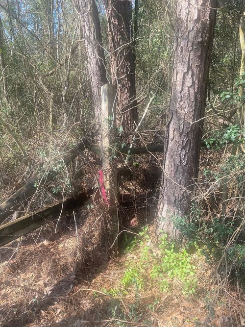 000 Highway 787, Saratoga, TX, 77585 | Card Image