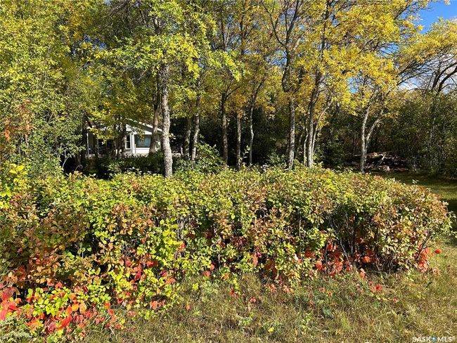 142 Garwell Drive, House other with 3 bedrooms, 1 bathrooms and 5 parking in Dufferin Rm No. 190 SK | Image 26