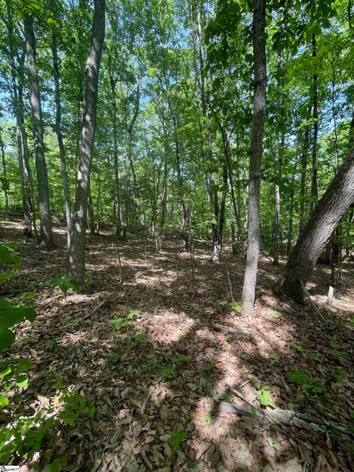 0 Packs Mountain Ridge Rd, Taylors, SC, 29687 | Card Image