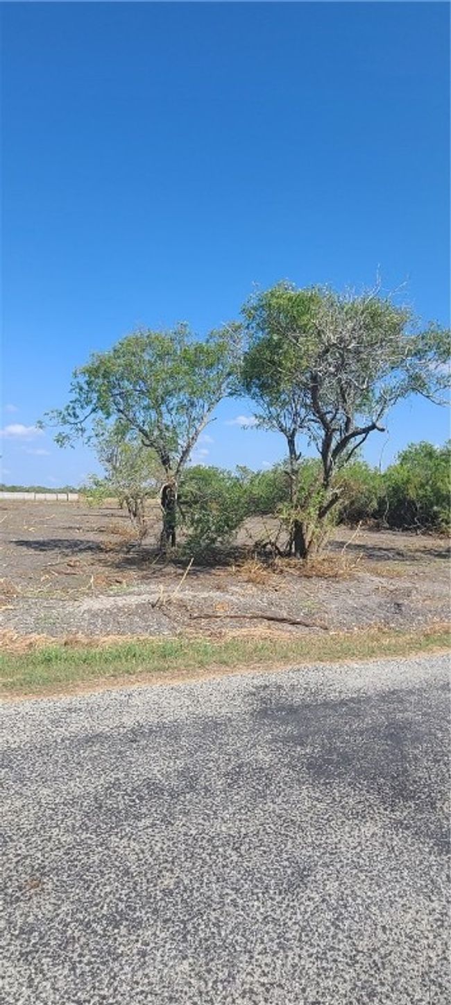 00 First St, Home with 0 bedrooms, 0 bathrooms and null parking in Bayside TX | Image 8