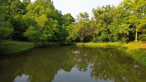1441 Bradyville Hill Rd, Bradyville, TN, 37026-5244 | Card Image